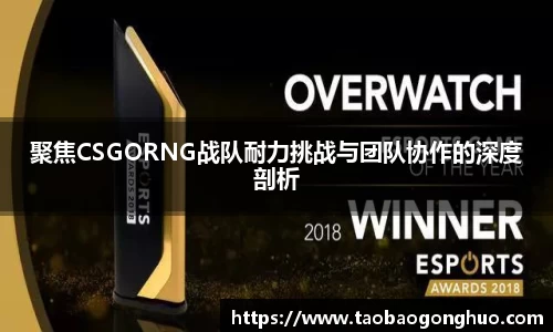 聚焦CSGORNG战队耐力挑战与团队协作的深度剖析