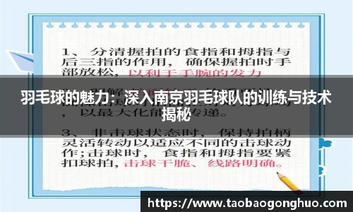 羽毛球的魅力：深入南京羽毛球队的训练与技术揭秘