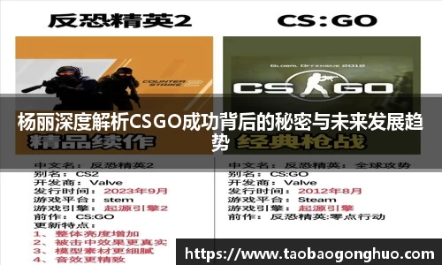 杨丽深度解析CSGO成功背后的秘密与未来发展趋势