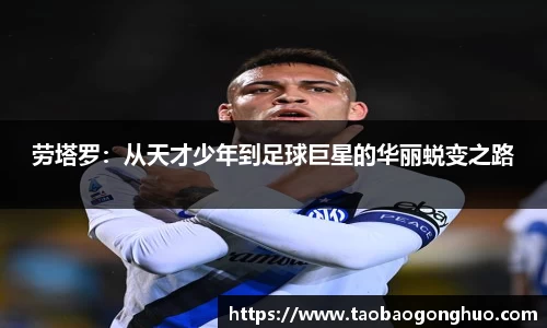 米乐yy易游